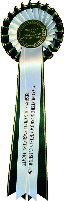 Res Challenge Certificate Rosette